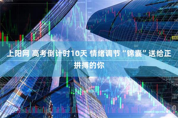 上阳网 高考倒计时10天 情绪调节“锦囊”送给正拼搏的你