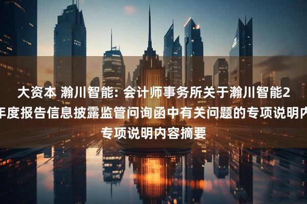 大资本 瀚川智能: 会计师事务所关于瀚川智能2024年年度报告信息披露监管问询函中有关问题的专项说明内容摘要
