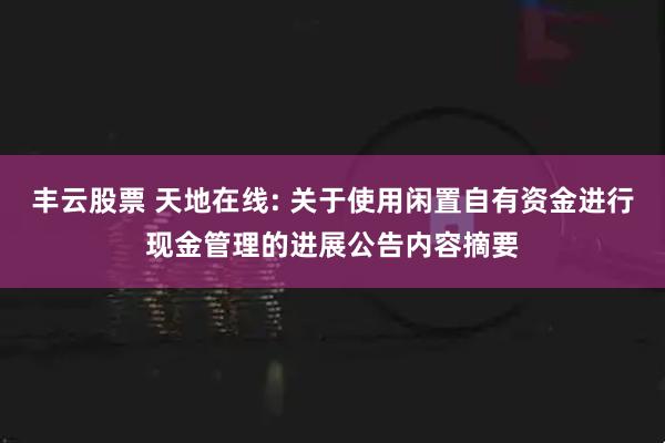 丰云股票 天地在线: 关于使用闲置自有资金进行现金管理的进展公告内容摘要