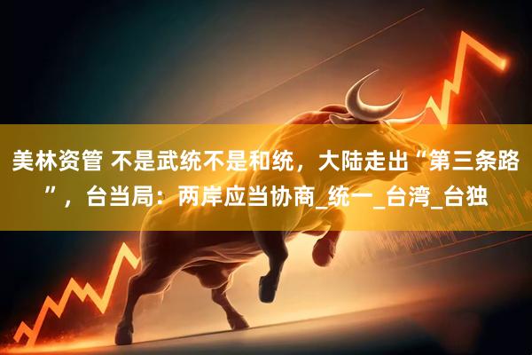 美林资管 不是武统不是和统，大陆走出“第三条路”，台当局：两岸应当协商_统一_台湾_台独