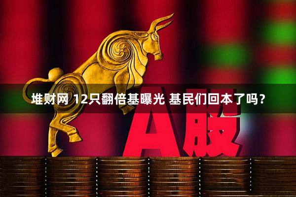 堆财网 12只翻倍基曝光 基民们回本了吗?