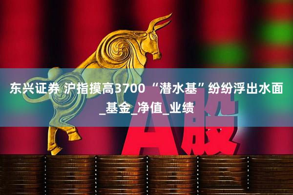 东兴证券 沪指摸高3700 “潜水基”纷纷浮出水面_基金_净值_业绩