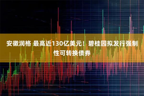 安徽润格 最高近130亿美元！碧桂园拟发行强制性可转换债券